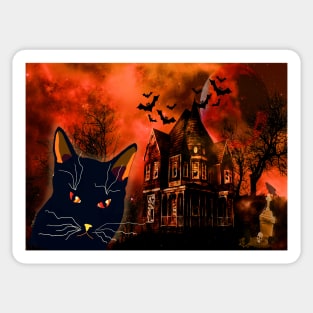 Evil Black Cat Halloween Sticker